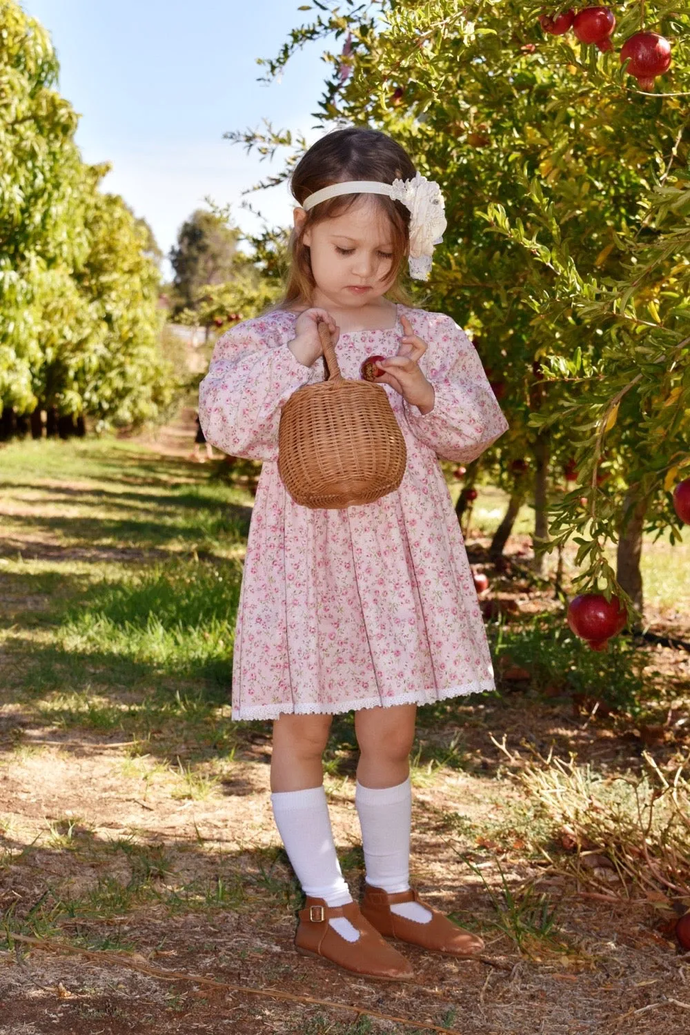 Long Sleeve Babydoll  Dress - Minnesota Dreaming in Pink