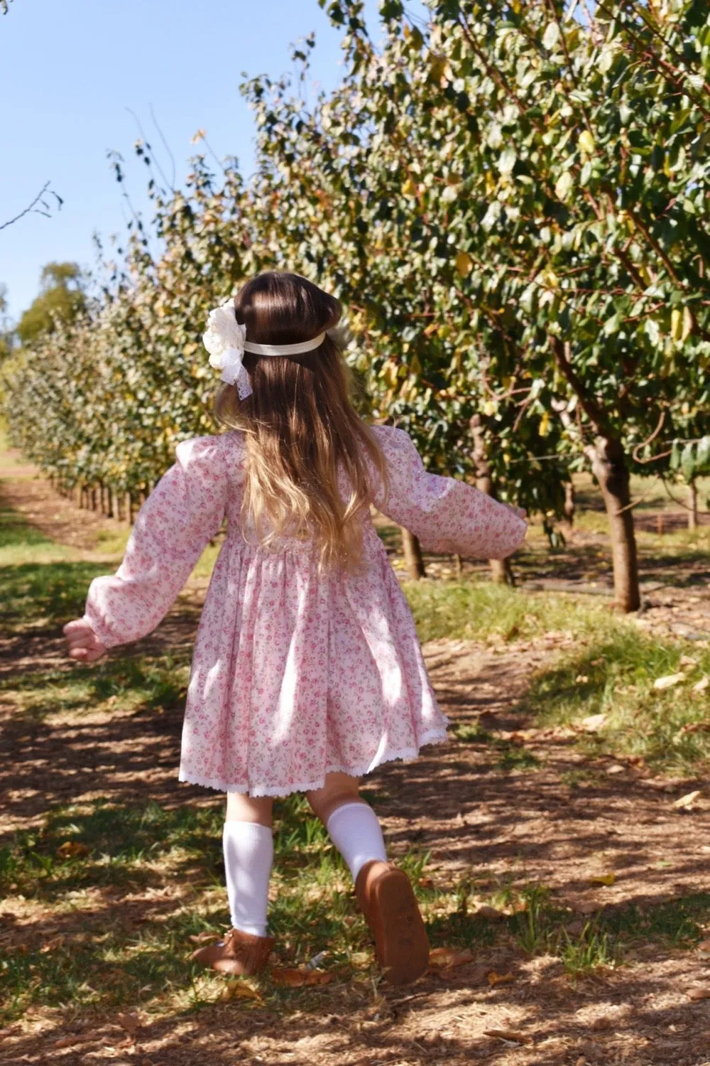 Long Sleeve Babydoll  Dress - Minnesota Dreaming in Pink