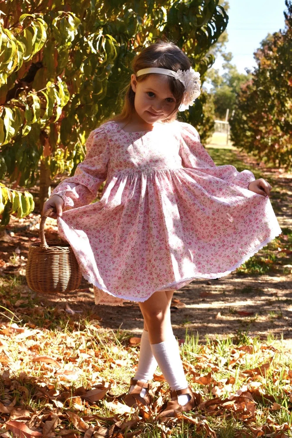 Long Sleeve Babydoll  Dress - Minnesota Dreaming in Pink