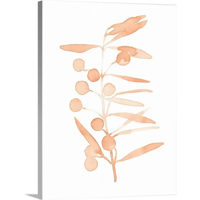 "Blush Olive Branch II" Canvas Wall Art